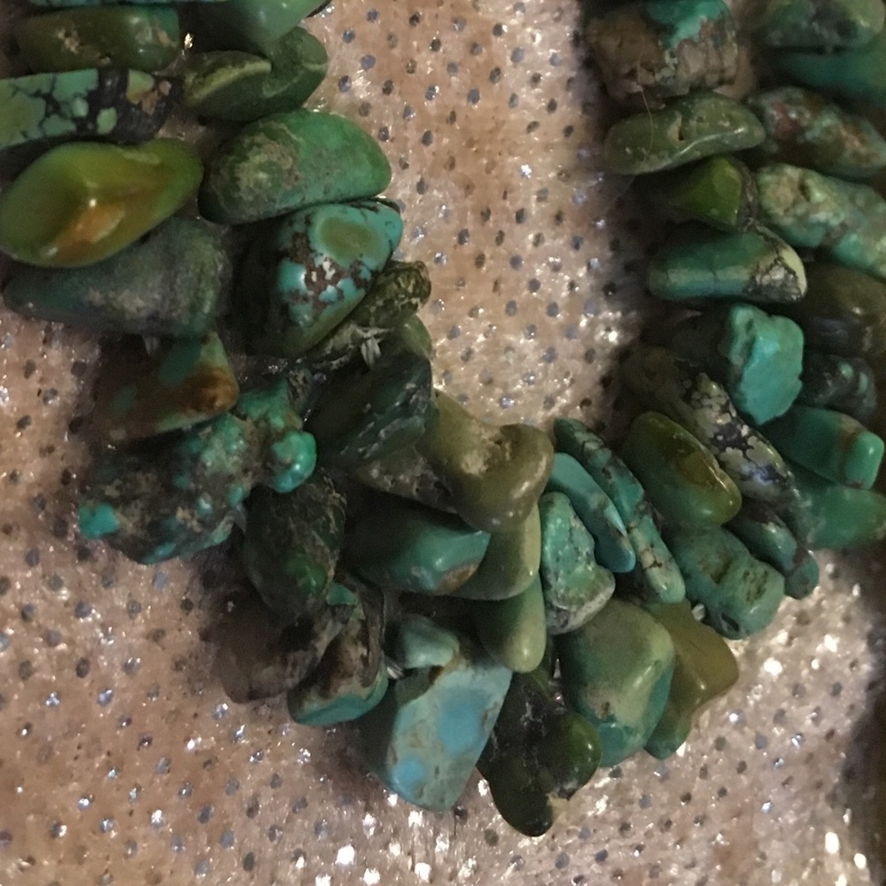 Long Strand Raw Turquoise with Clam Shell Beads